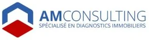 AM Consulting